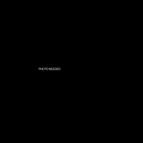 Build Question Words